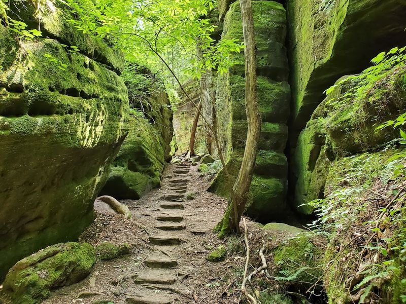 Connect With 10,000 Years of Native American and Paleo History Inside the Canyon