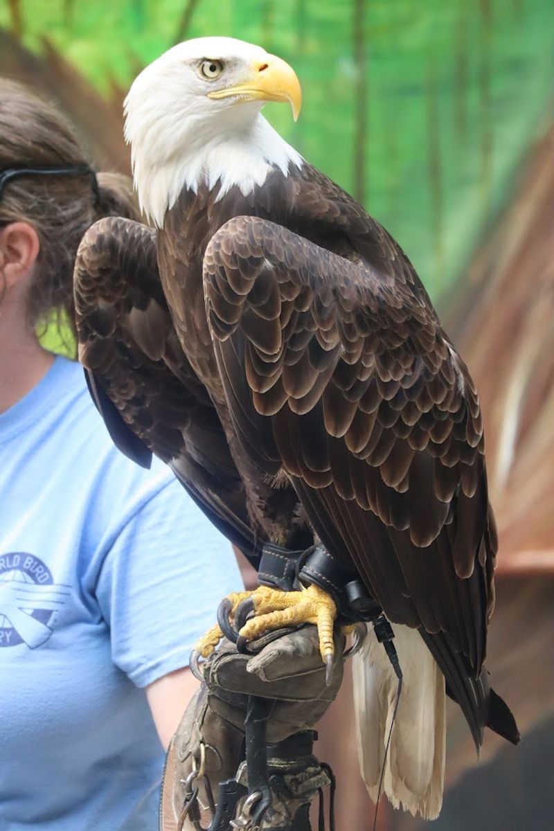 Conservation Through Education