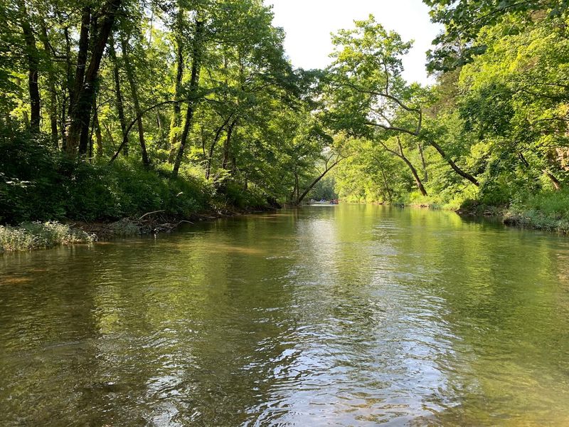 Courtois Creek, Steelville, Missouri
