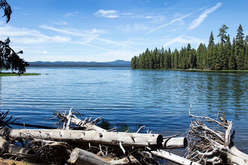 Crane Prairie Reservoir: Wildlife Watching at Its Best