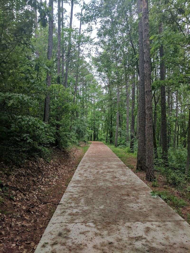 Cycling the Bike Trail Around the Park