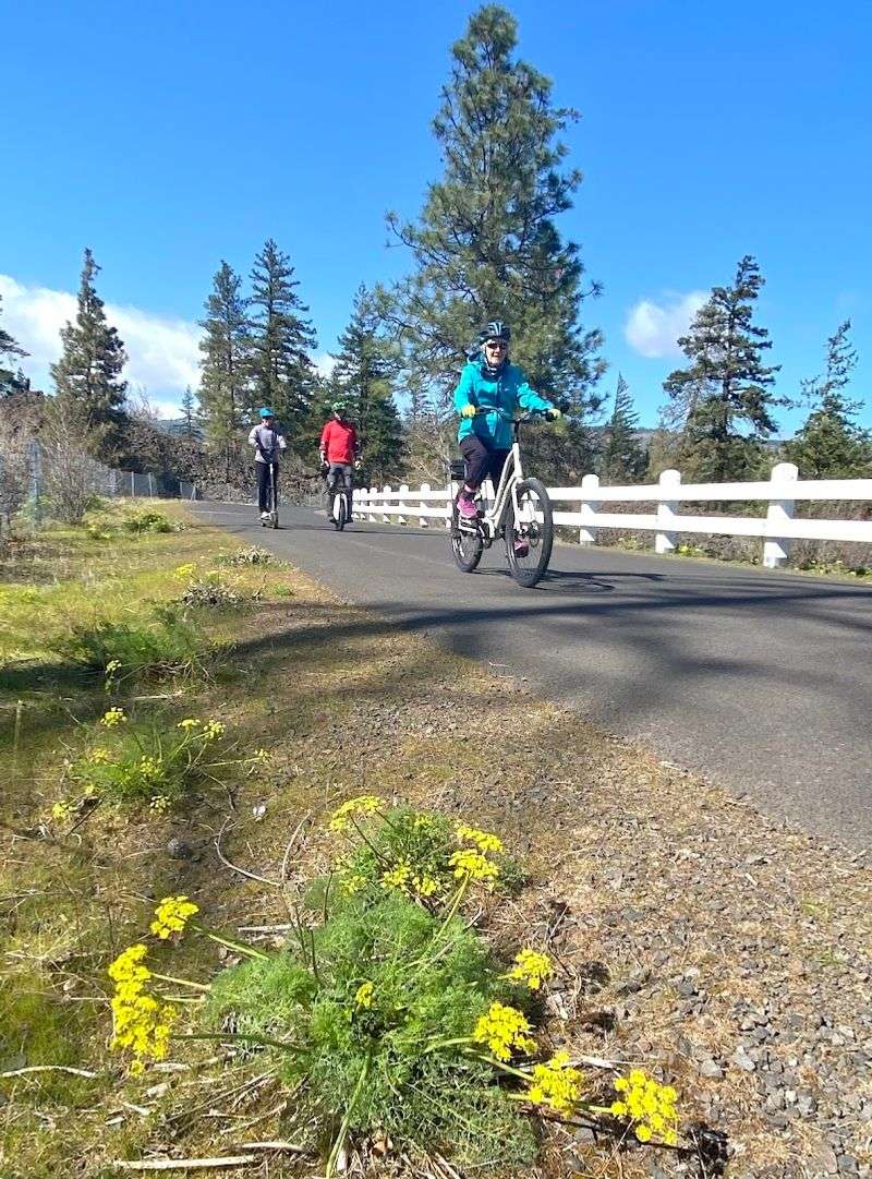 Cycling the Historic Columbia River Highway