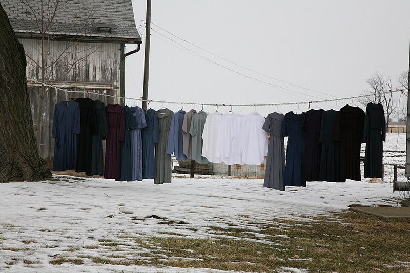 Daily Wear Signals Community Values