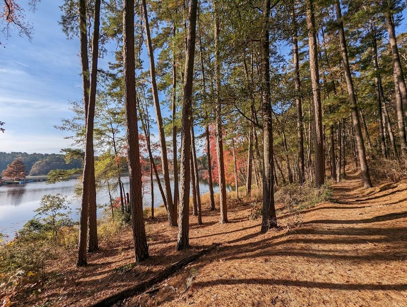 Daingerfield State Park, Mountain View or Swampland Trail