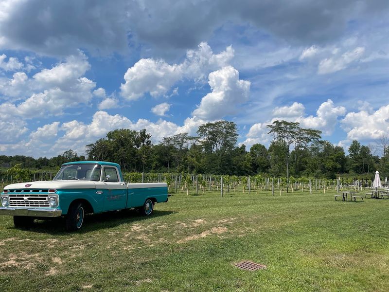 Daniel's Vineyard, McCordsville