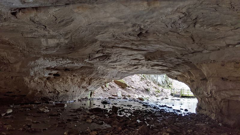 Devil's Icebox Trail at Rock Bridge Memorial State Park