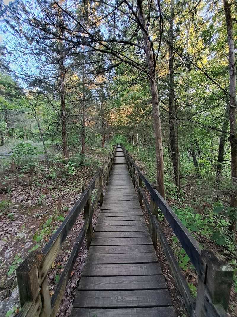 Devil's Icebox Trail