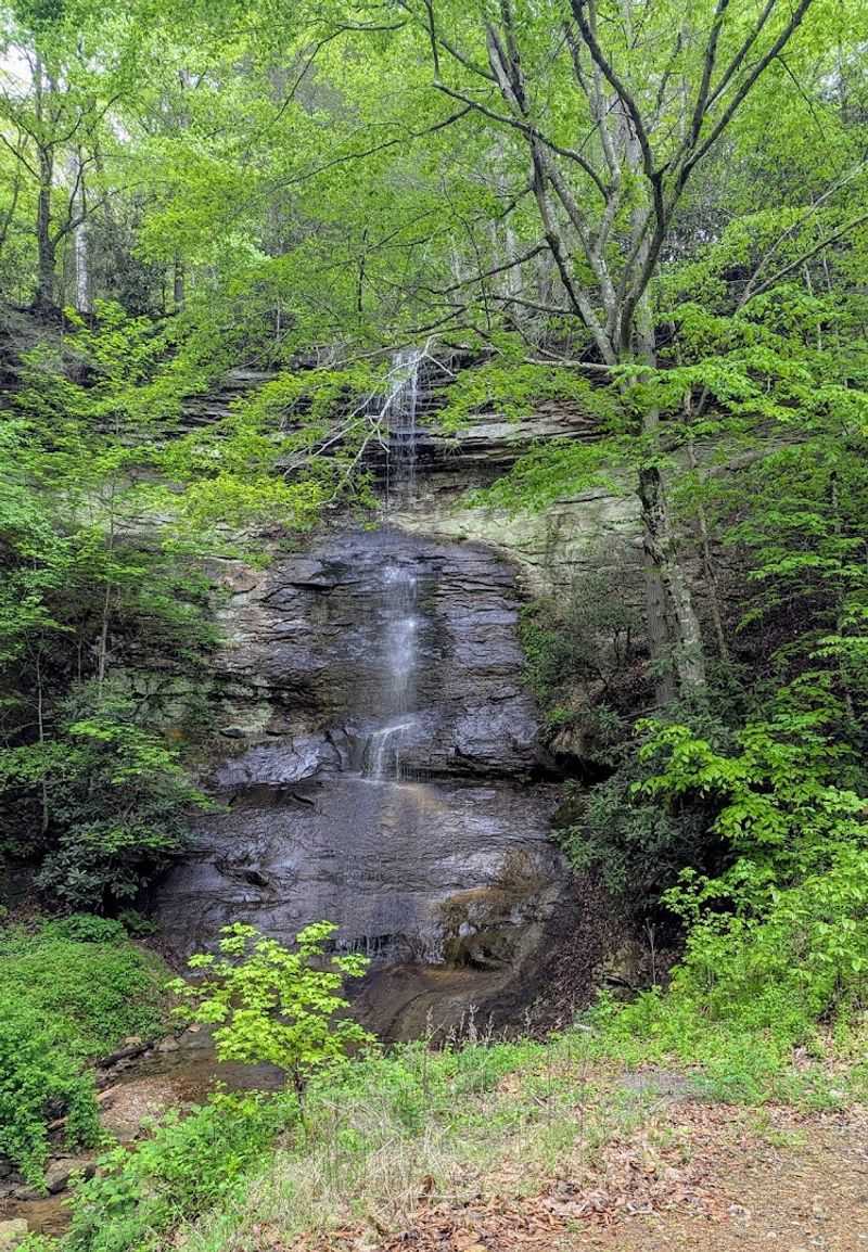 Devil's Sawmill Waterfall and West Virginia Waterfall Trail