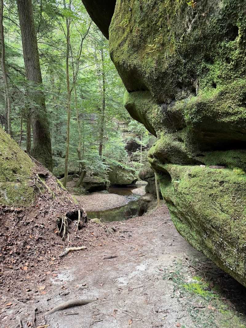 Dismals Canyon