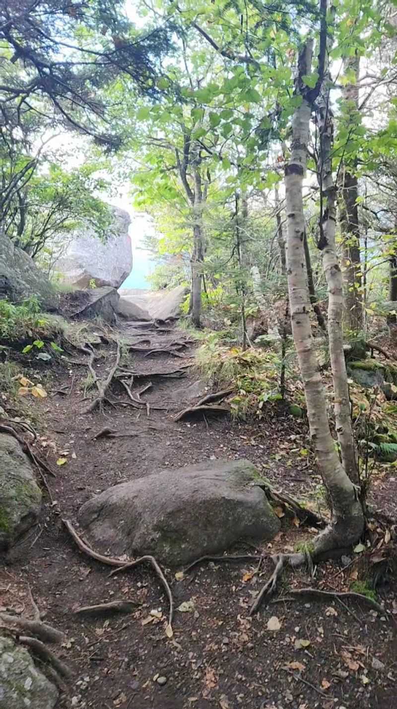 Dog-Friendly Adventures on the Trail