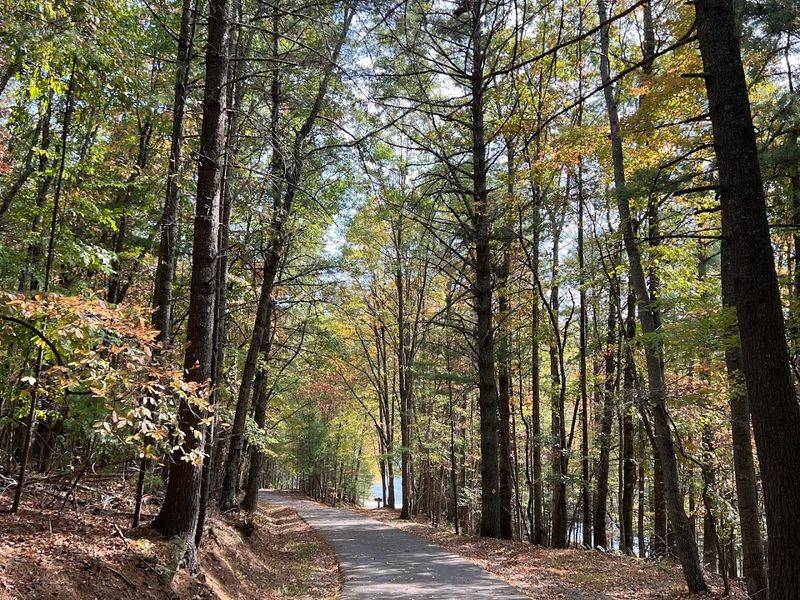 Dogwood Trail at Pipestem Resort State Park, West Virginia