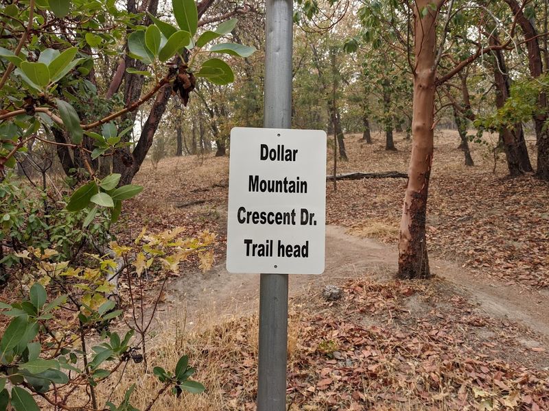 Dollar Mountain Trail System