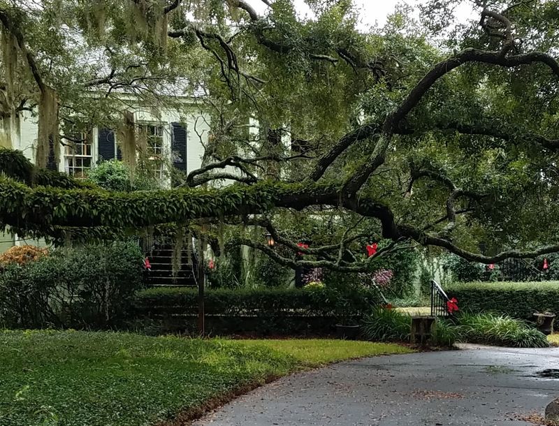 Downtown Beaufort Historic District