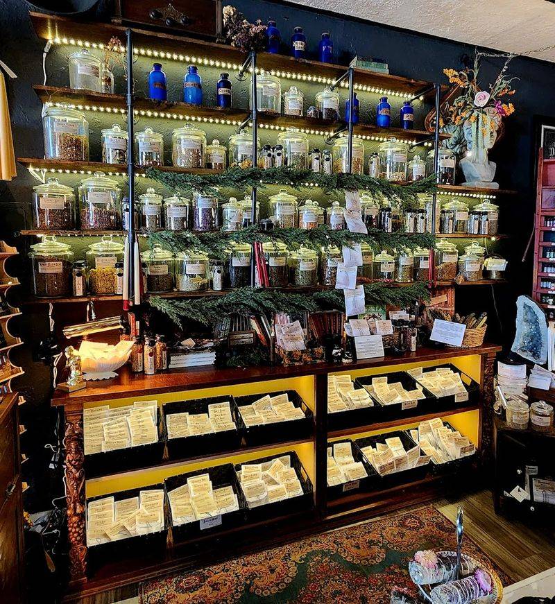 Dried Herbs That Smell Like an Old Forest