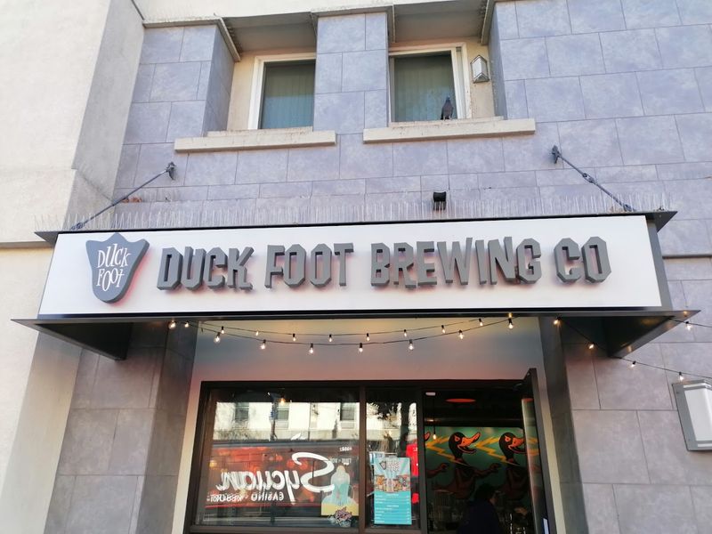 Duck Foot Brewing Co.