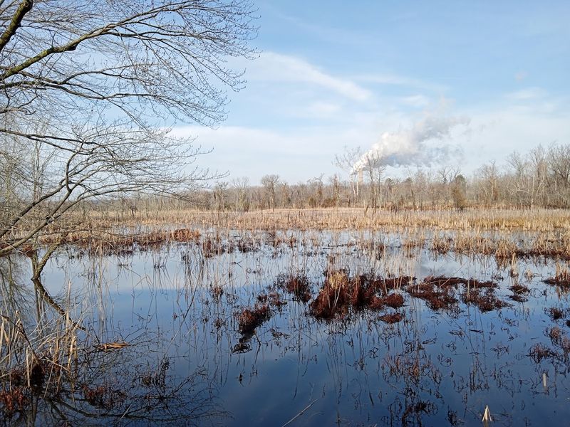 Dutch Gap Conservation Area Surrounding the Park