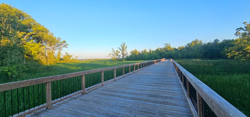 Dyke Marsh Wildlife Preserve, Alexandria