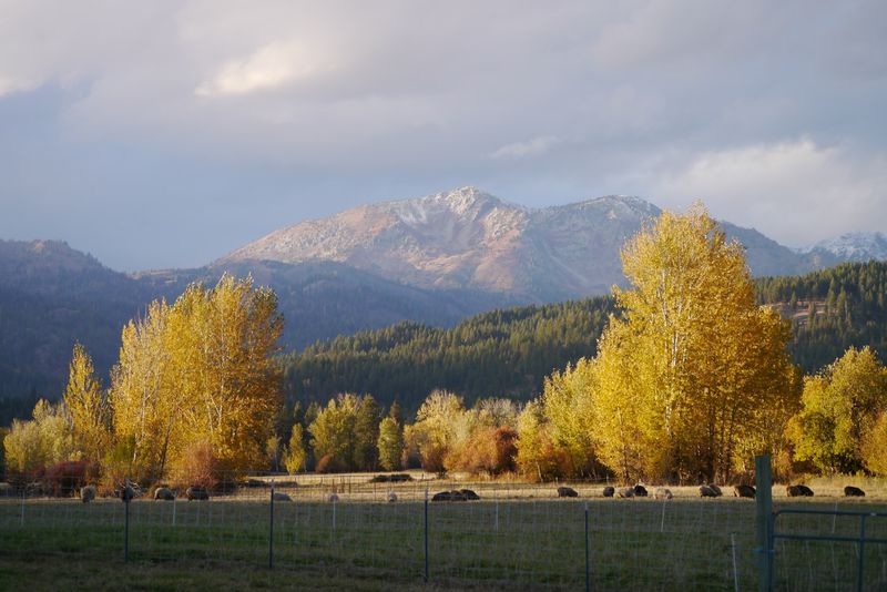 Eagle Cap Wilderness: A Backpacker's Dream Just Up the Road