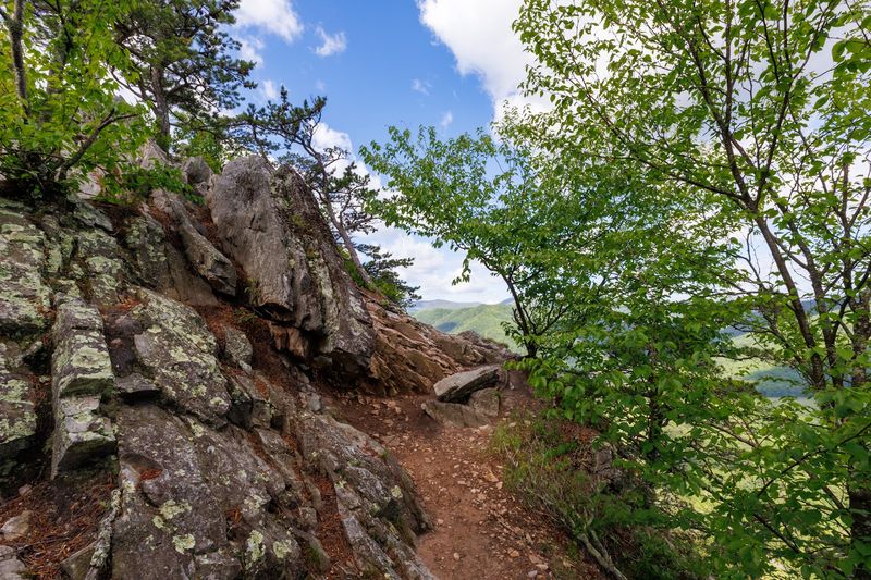 Earning Every Single Foot of Elevation Earning Every Single Foot of Elevation