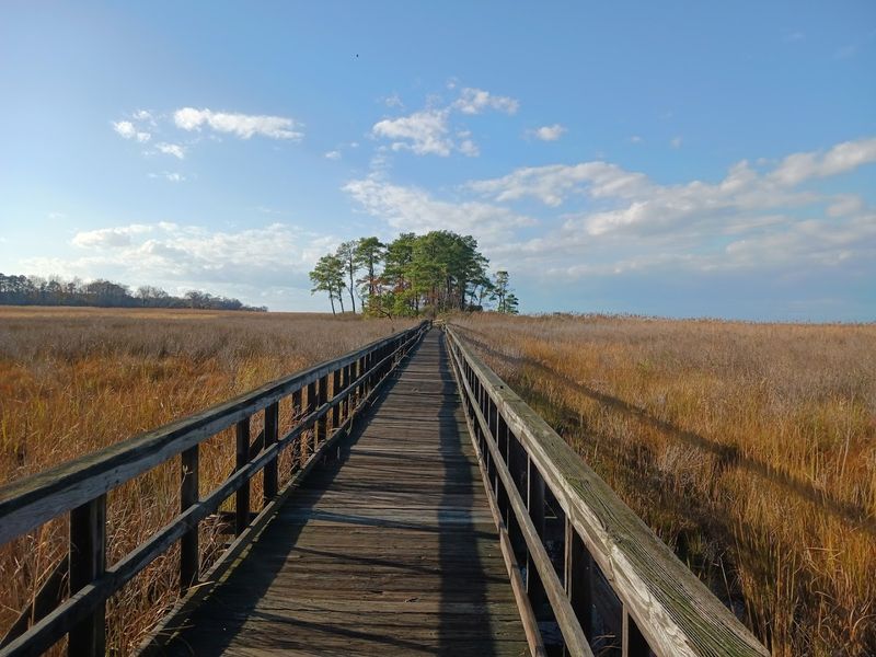 Eastern Neck National Wildlife Refuge, Nature Just Down the Road