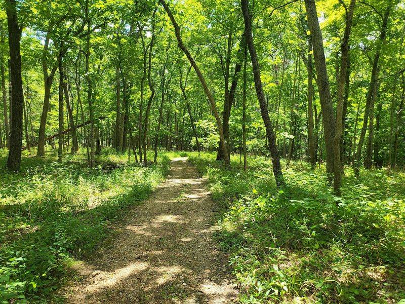 Eighteen Miles of Trails Means You Will Never Run Out of Path