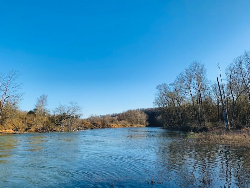 Eleven Point River, Alton, Missouri