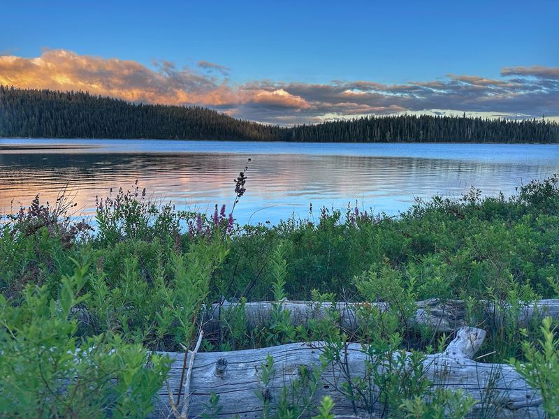 Elk Lake: A Hub of Summer Activity