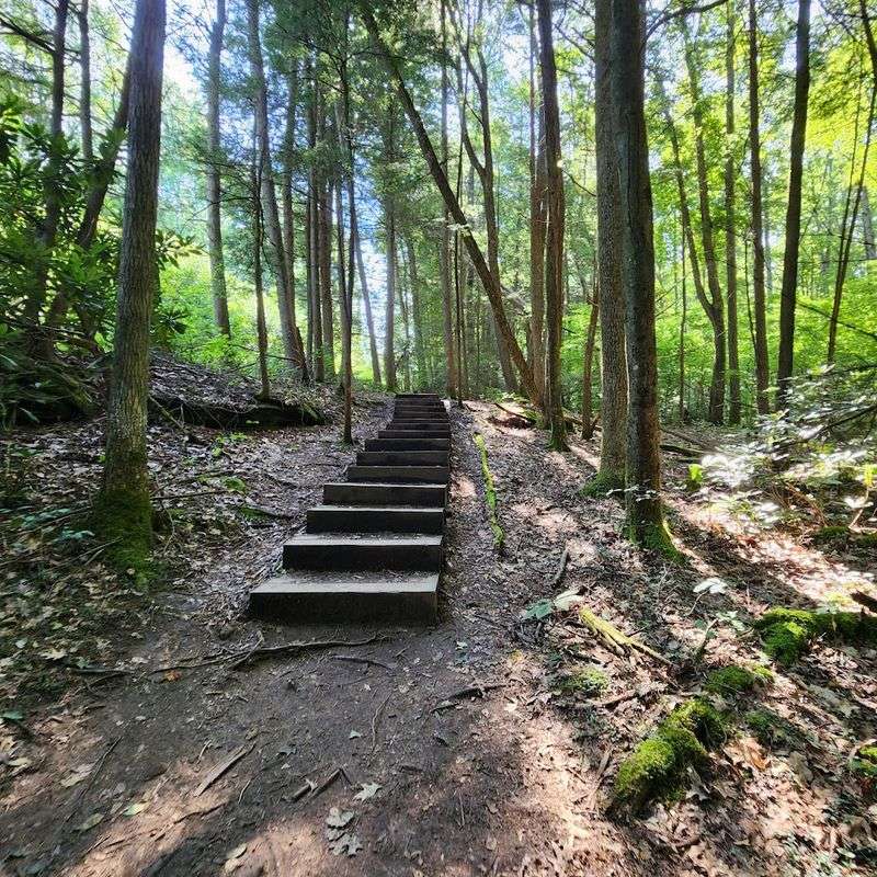 Endless Wall Trail Endless Wall Trail