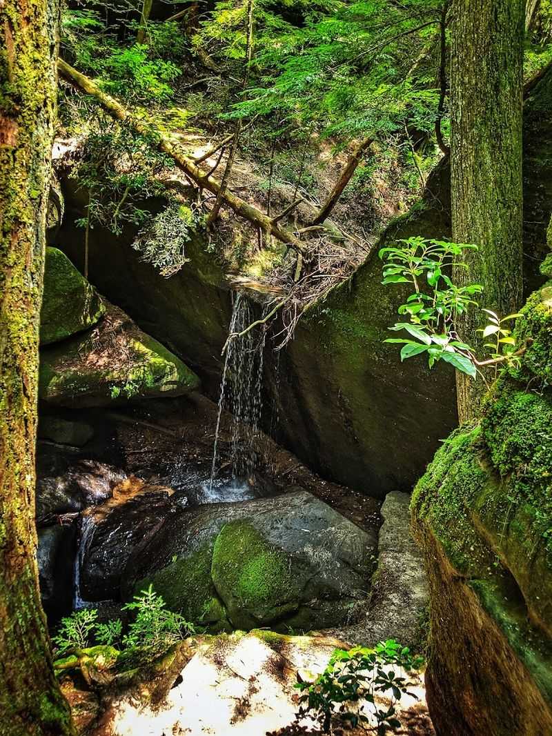 Enjoy Camping, Swimming, and Overnight Stays in a Naturally Cool Mosquito-Free Canyon