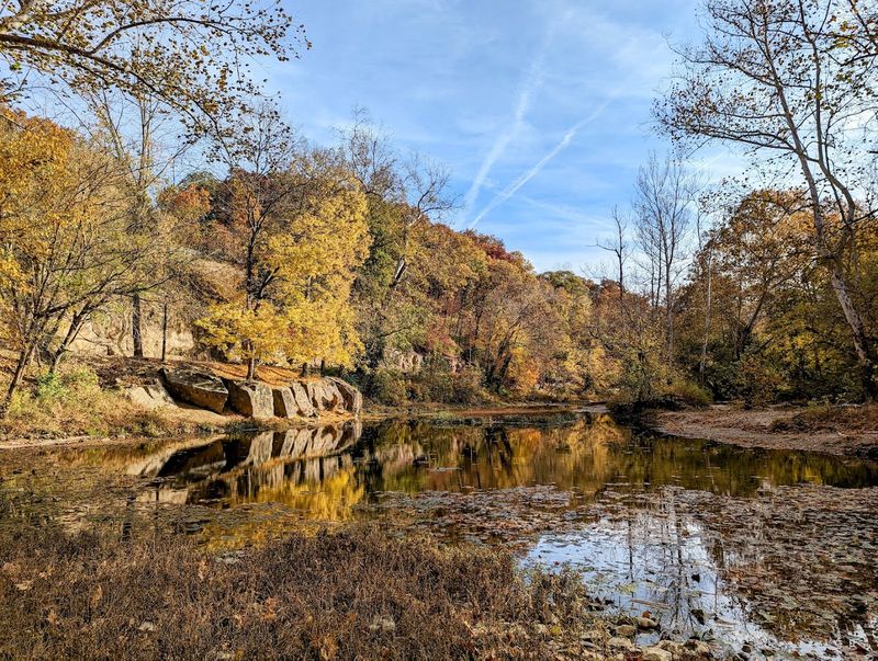 Epic River Views Along the Muscatatuck