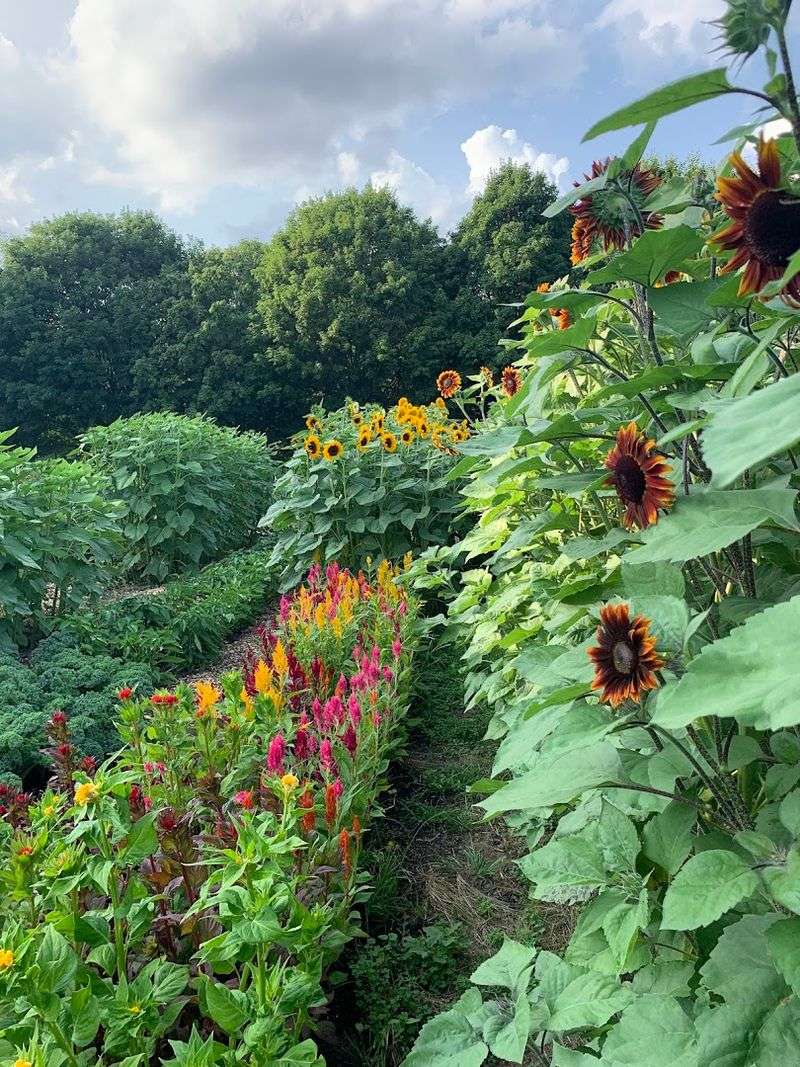 European-Inspired Garden, Carmel