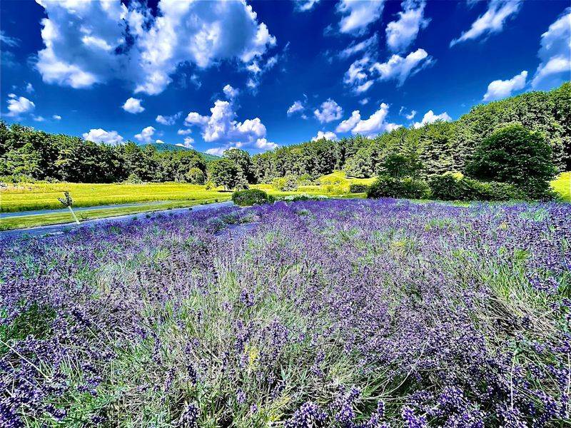 Events and Workshops That Make the Farm Come Alive Events and Workshops That Make the Farm Come Alive