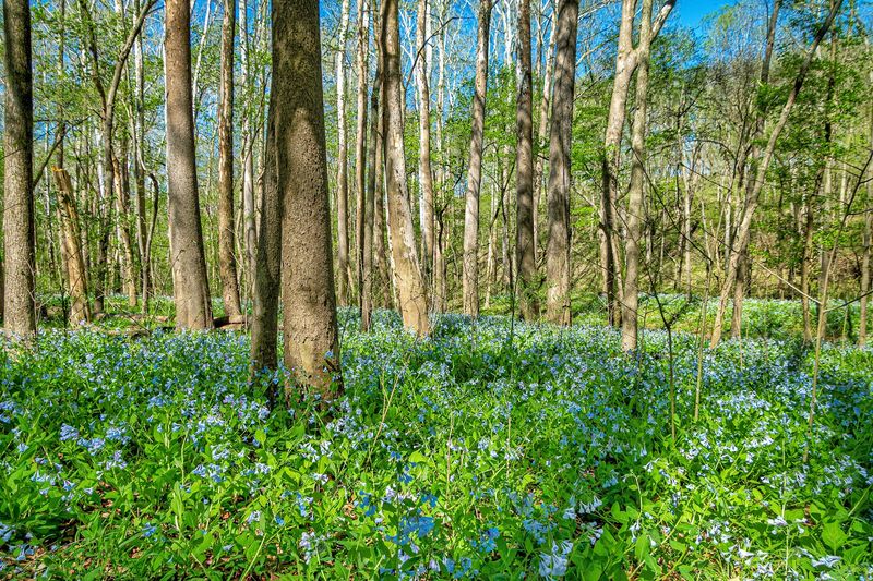 Every Season Brings a Completely Different Reserve to Life