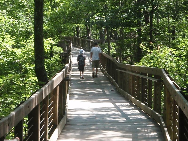 Exceptional Accessibility for Every Kind of Visitor