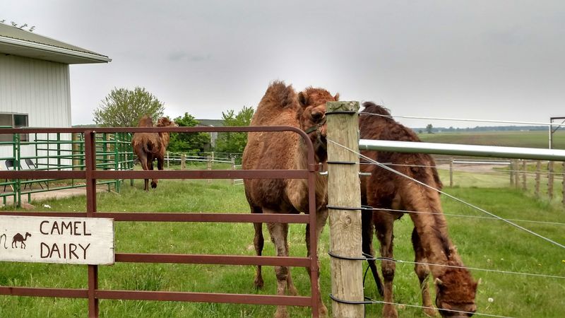 Experience One of the Most Unique Agricultural Stops in the Entire Midwest