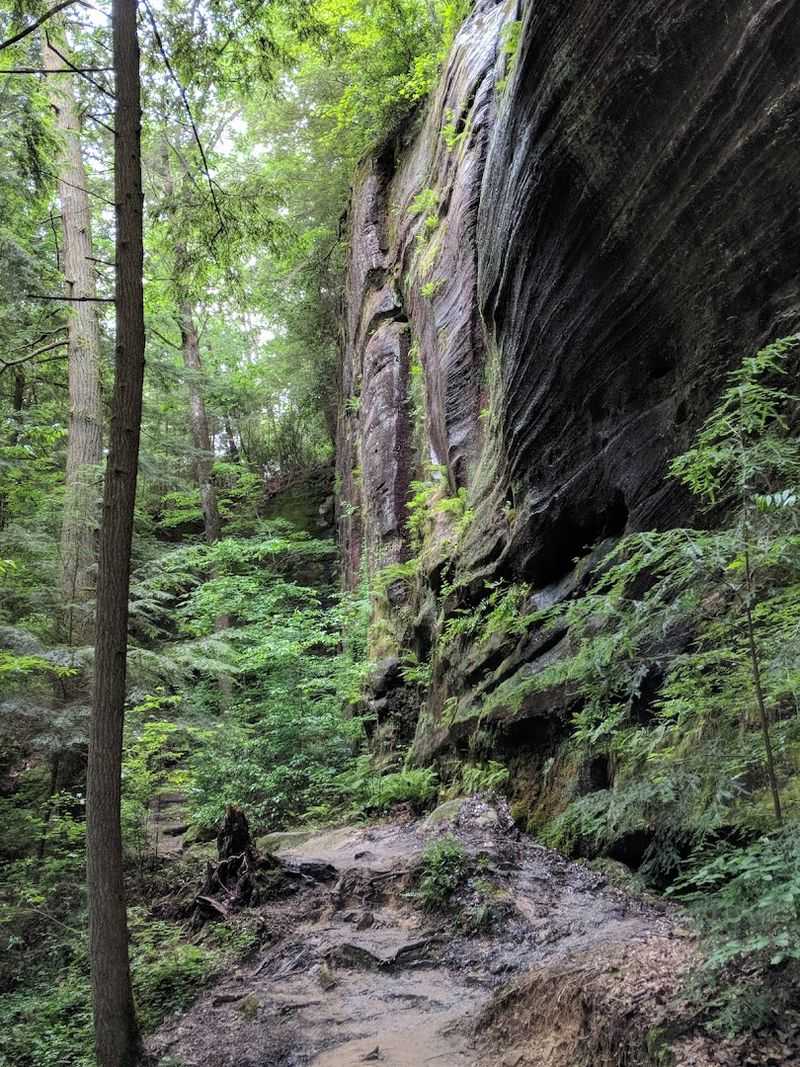 Experience Rich Biodiversity and Ancient Old-Growth Timber Unlike Anything in the Region