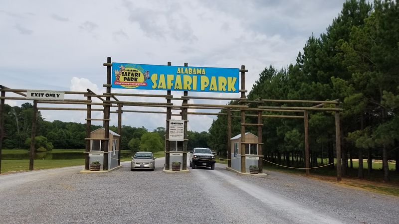 Explore the Safari Village Walk-About With Lemurs and Kangaroos