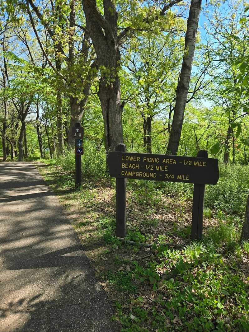 Exploring the Spring Wildflower Bloom at Afton State Park, Hastings, Minnesota