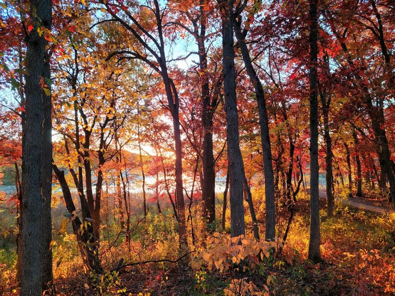 Fall Colors That Earn the Drive Alone