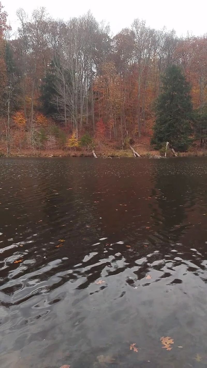 Fall Colors That Turn a Quiet Lake Into Something Spectacular