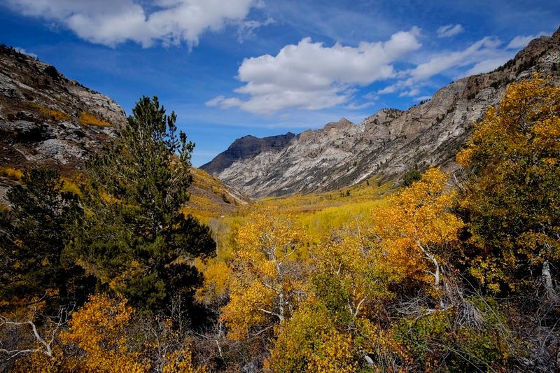 Fall Colors and Seasonal Magic: When to Visit for Peak Beauty