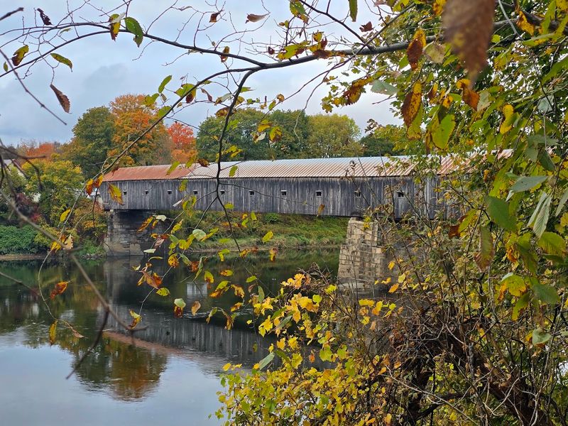 Fall Foliage Season Transforms the Bridge Into Pure Magic