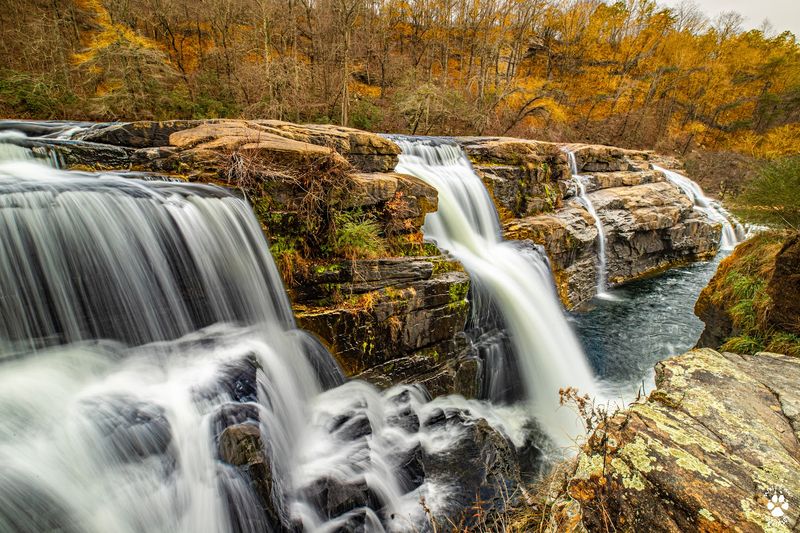 Fall Foliage, Seasonal Visits, And What To Expect Year-Round