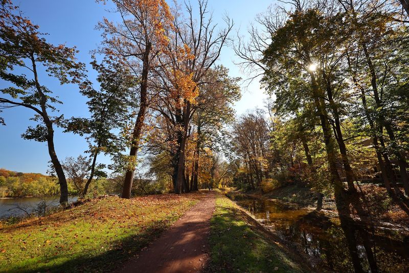 Fall Foliage So Vivid It Looks Photoshopped