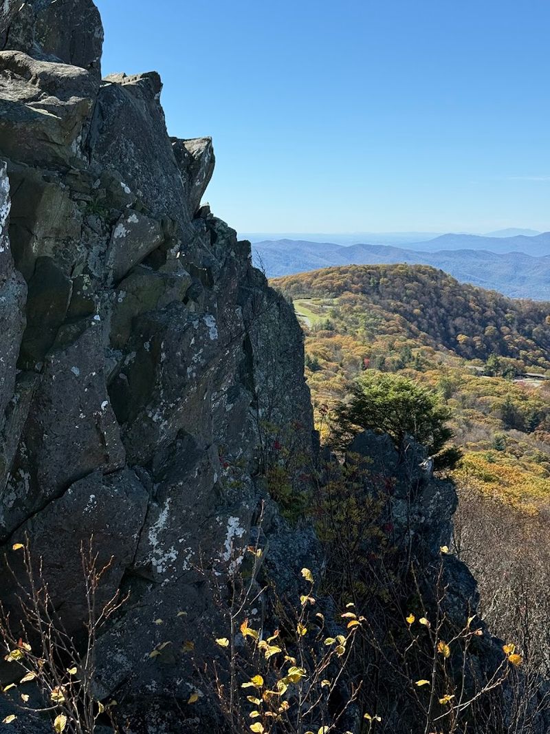 Fall Foliage That Rewrites the Rulebook