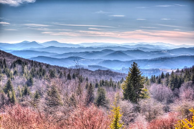 Fall Foliage That Turns the Mountains Into a Painting