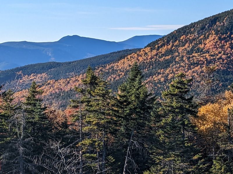 Fall Foliage at Its Most Gloriously Unreasonable Best