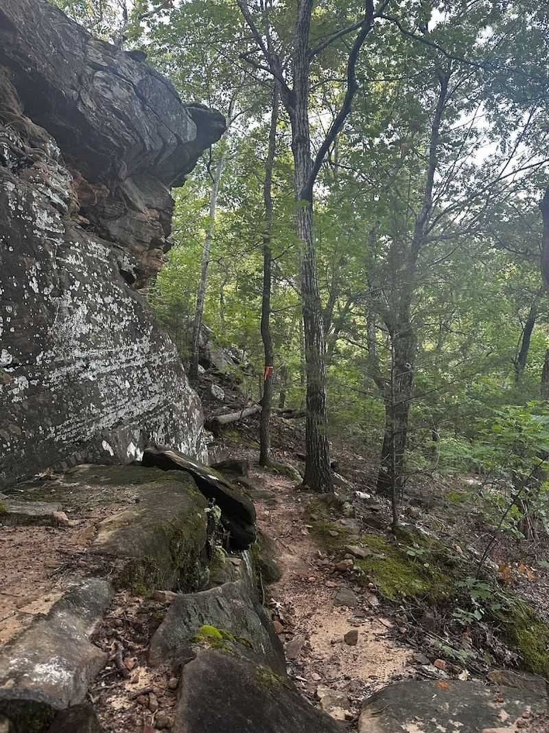 Falls Trail, Keystone Ancient Forest, Oklahoma