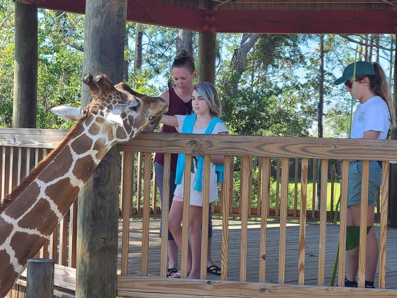 Family-Friendly Features Make It a Full Day Out for All Ages Family-Friendly Features Make It a Full Day Out for All Ages