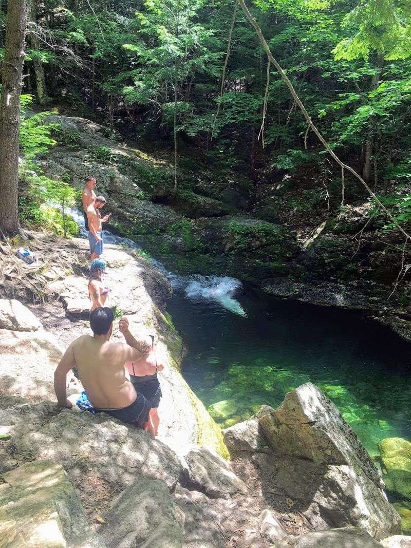 Family-Friendly Fun With a Wild Edge